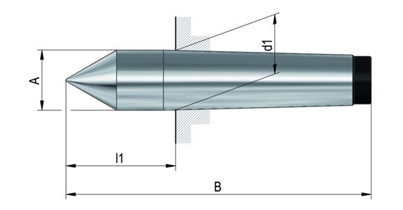ZENTR-SPITZE WS MK2 60G VSP