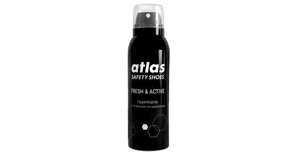 Dezinfekční sprej na obuv FRESH & ACTIVE, nádobka 150 ml