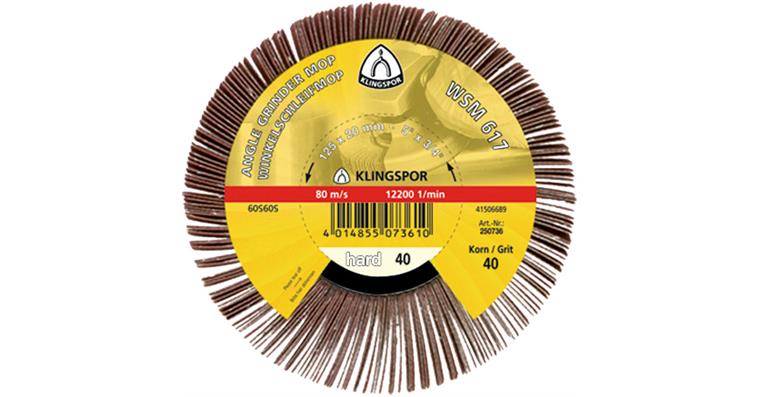 1043762103 Brusný lamelový kotouč WSM617, 125 x 20 mm, G80