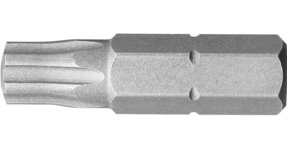 Bit ATORN C6.3 TX Plus IP 30 x 25 mm