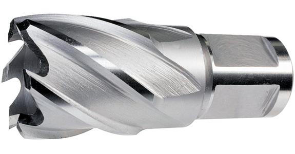 Annular cutter cutting depth 30 mm Weldon shank 19 mm HSS-Co BX dia. 45 mm
