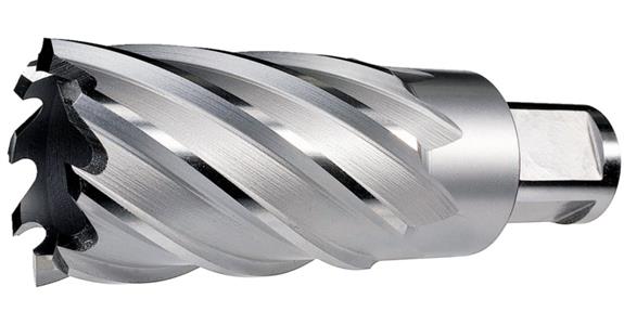 Annular cutter cutting depth 50 mm Weldon shank 19 mm HSS-Co BX dia. 15 mm