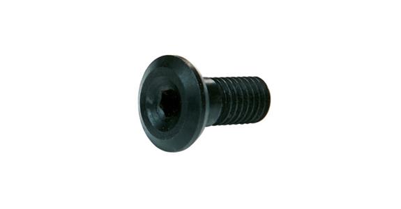 Upínací šroub M8x21 mm pro čelní frézu, levořeznou, obj. č. 17728 109-113