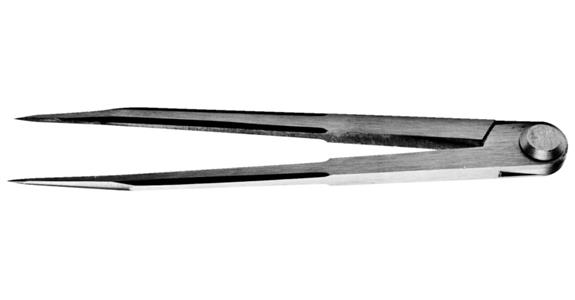Přepážka s kalenými hroty D = 200 mm DIN 6486