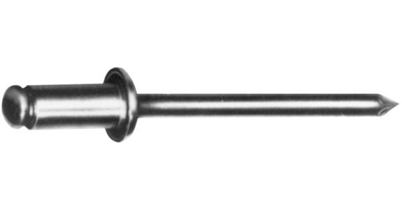 Alu-Nirosta-Blindniete 500 St. Flachrundkopf Ø 3x8 mm