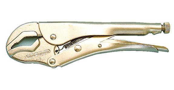 Special locking pliers CV steel 250 mm, top jaw angled bottom prismatic