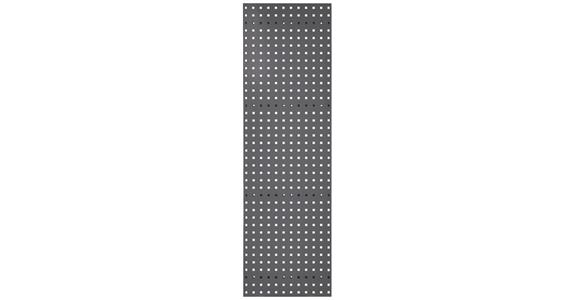 RasterPlan perf. plate sheet steel 1.25 mm RAL 7016 anthr. grey WxH 100x450 mm