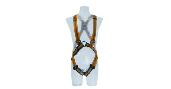 Safety harness ARG 30