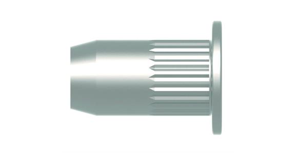 Blindnietmutter mit Flachkopf Stahl verzinkt M5 7x13,5 Pack=500 St.