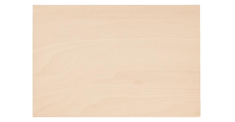 1001109605 wooden worktop for WorkMo B2 2954362