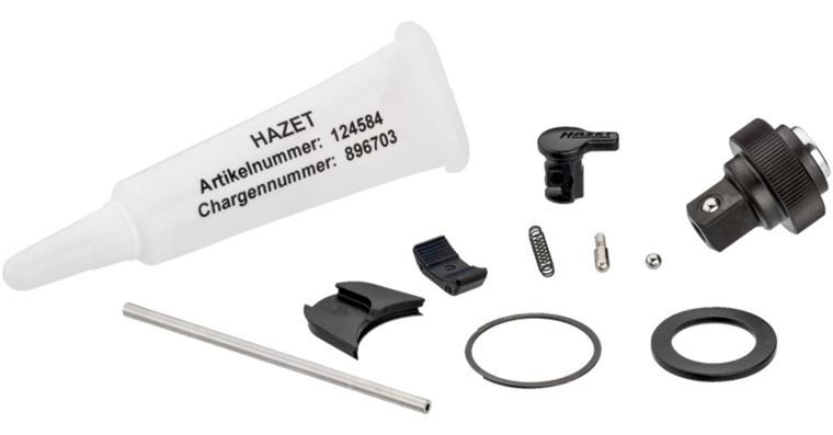 1001213498 Spare part set ratchet wheel with safety lock 863HPS/11