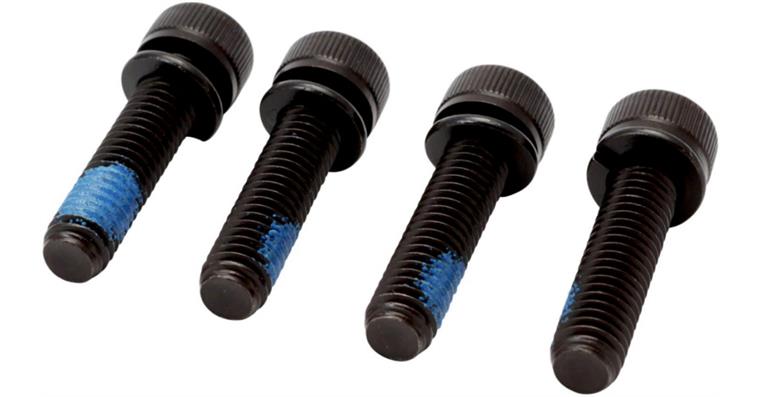 1001209999 Screws with spring washer set of 4 9013SPC-020/4