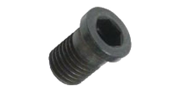 LIZZARD Spannschraube Unterlegplatte 02SUP4006V