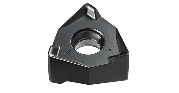 LIZZARD Wendeplatten WNMU 080608 MB …