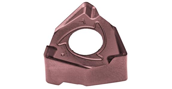 LIZZARD Wendeplatten WNEU 080608 MB …