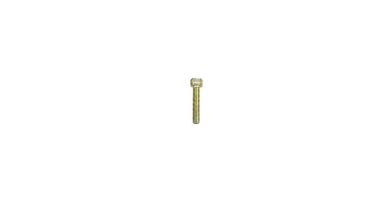 1001113227 cheese head screw M6 x 45 2255863