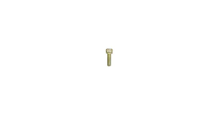 1001113228 cheese head screw M6 x 35 2255871