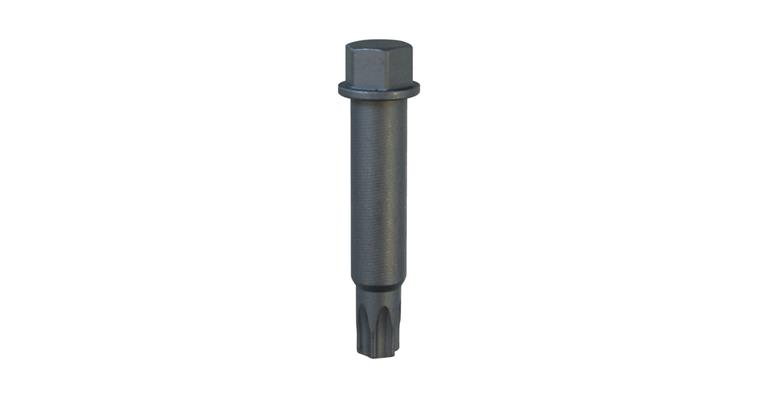 1001113680 screwdriver bit insert T50 2171260