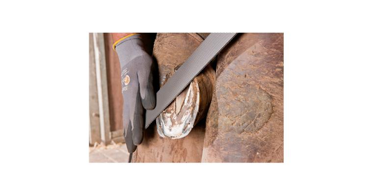 1001436324 hoof plane flat 350mm planing and finishing of the hooves