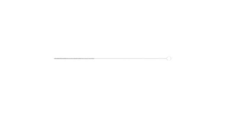 1001440168 inner brush IBU diameter 3x100mm with eyelet steel wire diameter 0.10
