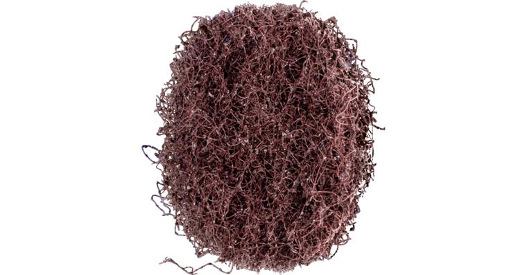 1043194101 POLINOX non-woven marbling discs diameter 40mm A100