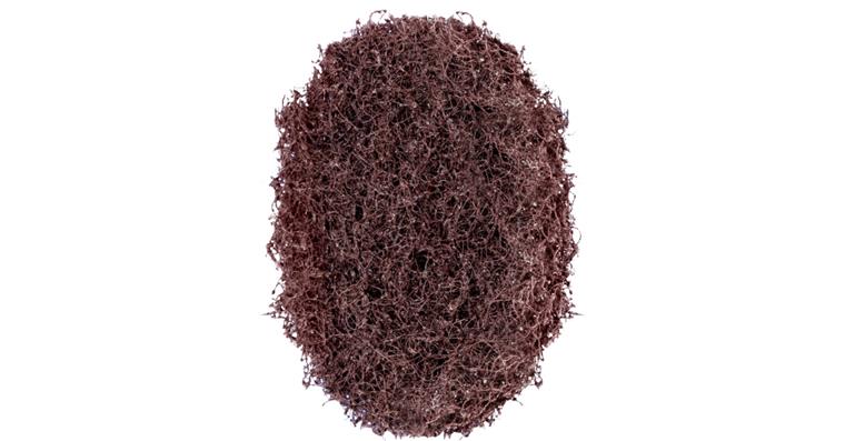 1043194103 POLINOX non-woven marbling discs diameter 60mm A100