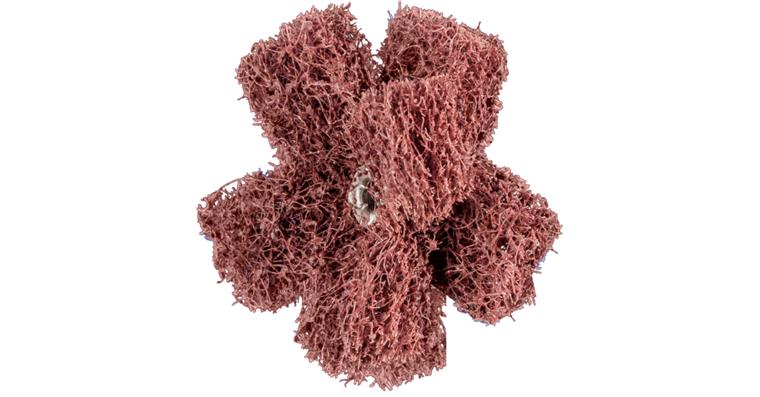 1001437233 POLINOX non-woven abrasive star PNST diameter 50mm thread 8-32 UNC A80