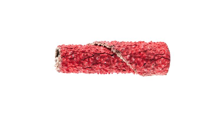 1043303101 POLIROLL PR cylindrical sanding rollers 6x25 mm bore 3 mm grit CO-COOL60