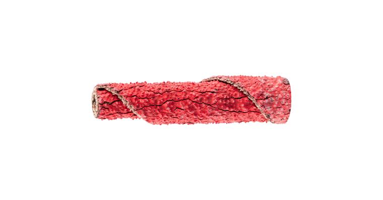 1043303102 POLIROLL PR cylindrical sanding rollers 6x35 mm bore 3 mm grit CO-COOL60