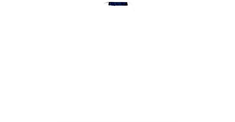 1005087790 Men's work jacket welding blue navy 56 8818111