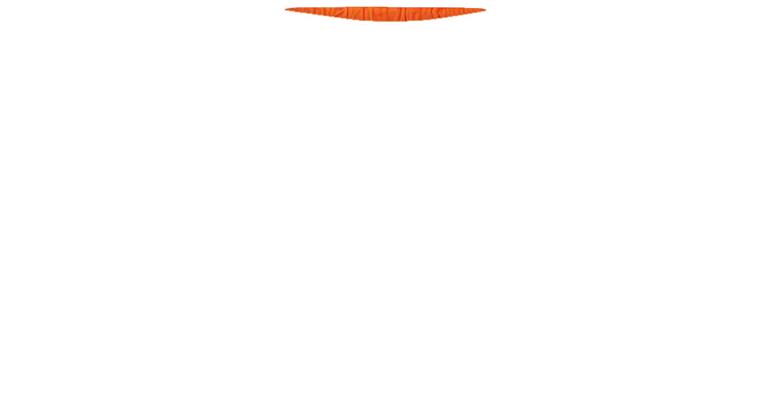 1005061741 Men's Bermuda Construction orange warning orange 60 8849013