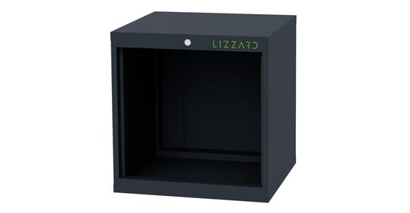 Lizzard Schrankgehäuse leer, B600xT575x H620mm RAL 7016