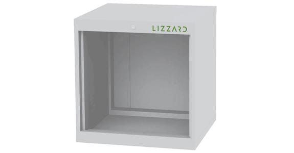 Lizzard Schrankgehäuse leer, B600xT575xH620mm RAL 7035