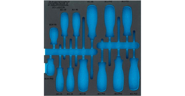 1001213825 2-component soft foam insert 163-100LN