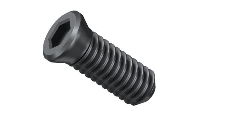 1005032875 clamping screw KX PU 10 pcs 31350075000